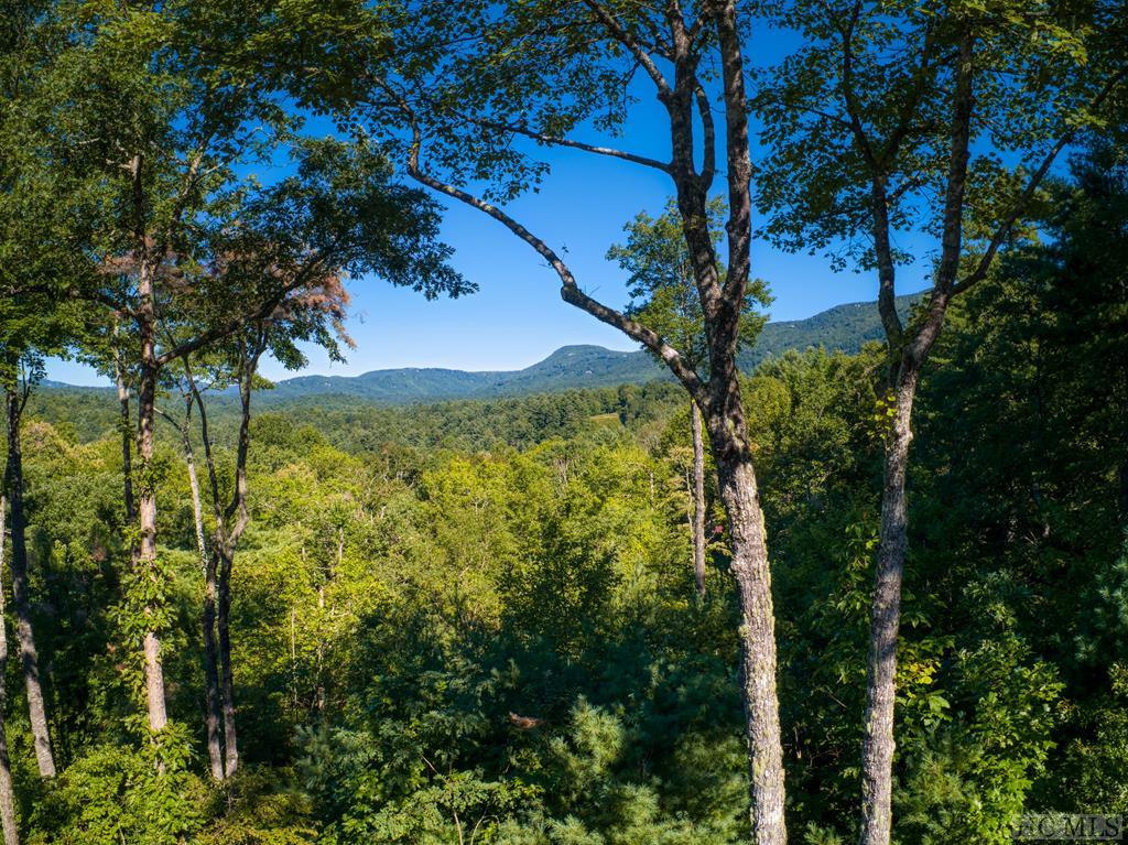 350 Beaver Dam Road Sapphire, NC 28774 - Photo 29 of 56 Gallery Image 29