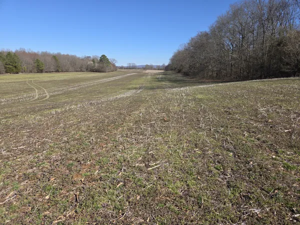 $199,900 | 0 Old Estill Springs Road, Winchester, TN 37398