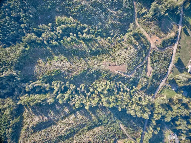 a backyard of a house