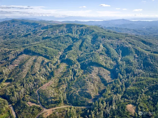 an aerial view of forest