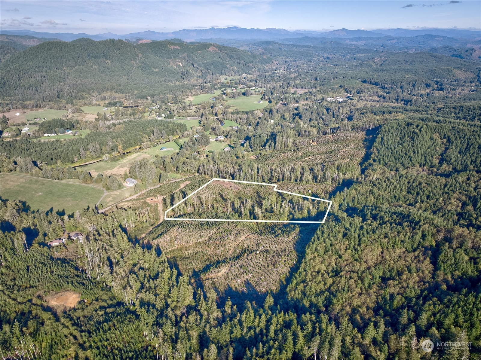 2 South B S Valley Road Naselle, WA 98638 - Photo 6 of 16 a view of a lake with a mountain in the background