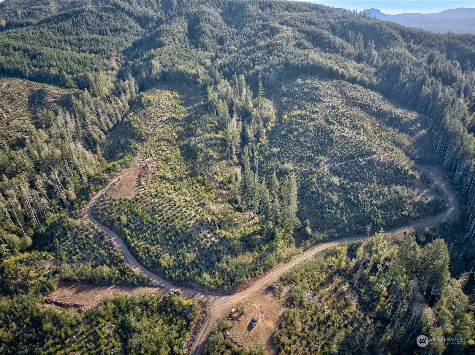 2 South B S Valley Road Naselle, WA 98638 - Photo 7 of 16 a view of a yard with plants and a bench