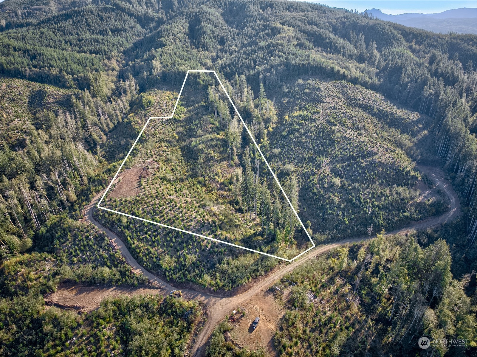 2 South B S Valley Road Naselle, WA 98638 - Photo 8 of 16 a view of a yard with plants