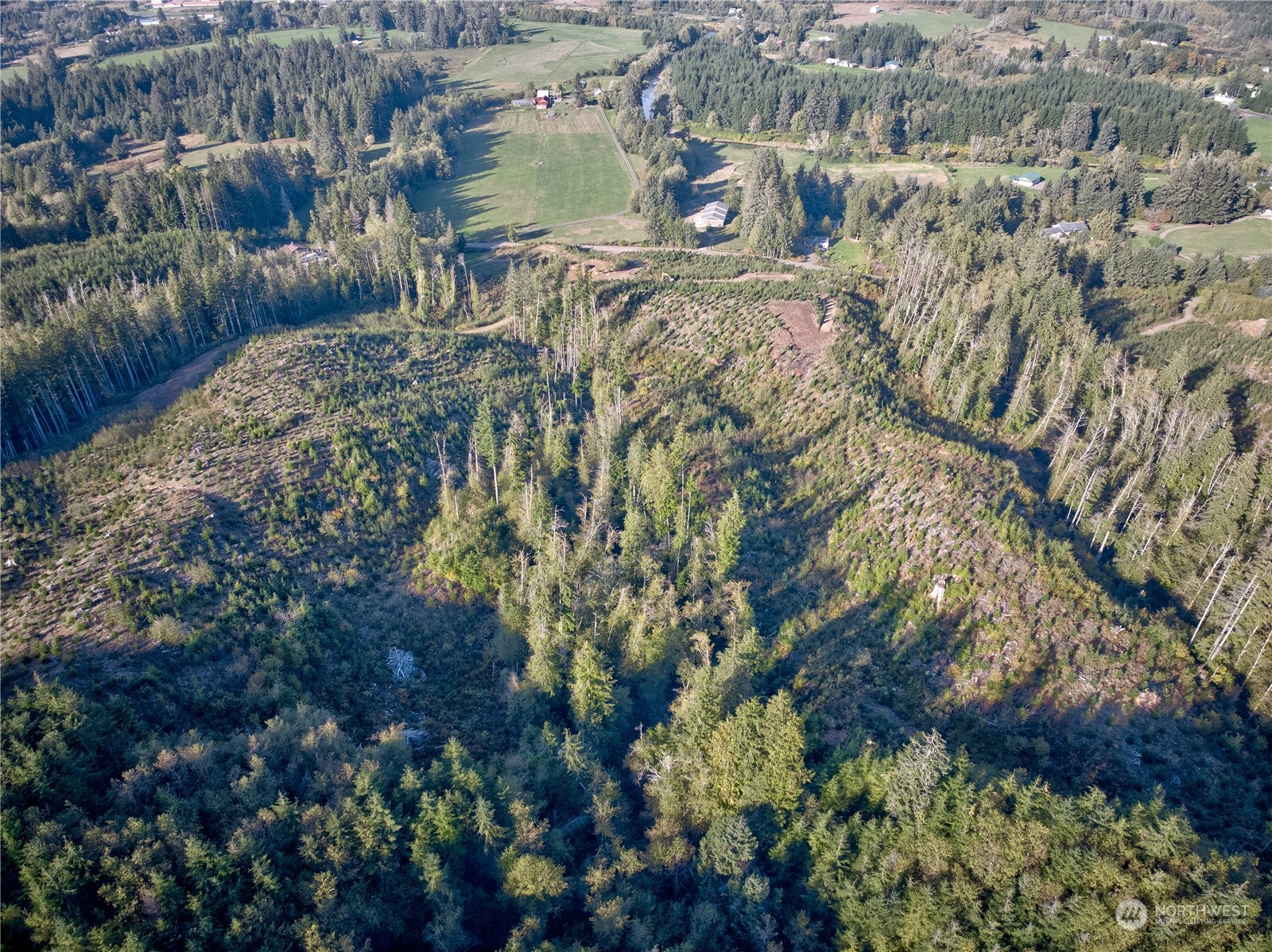 2 South B S Valley Road Naselle, WA 98638 - Photo 9 of 16 a view of outside area