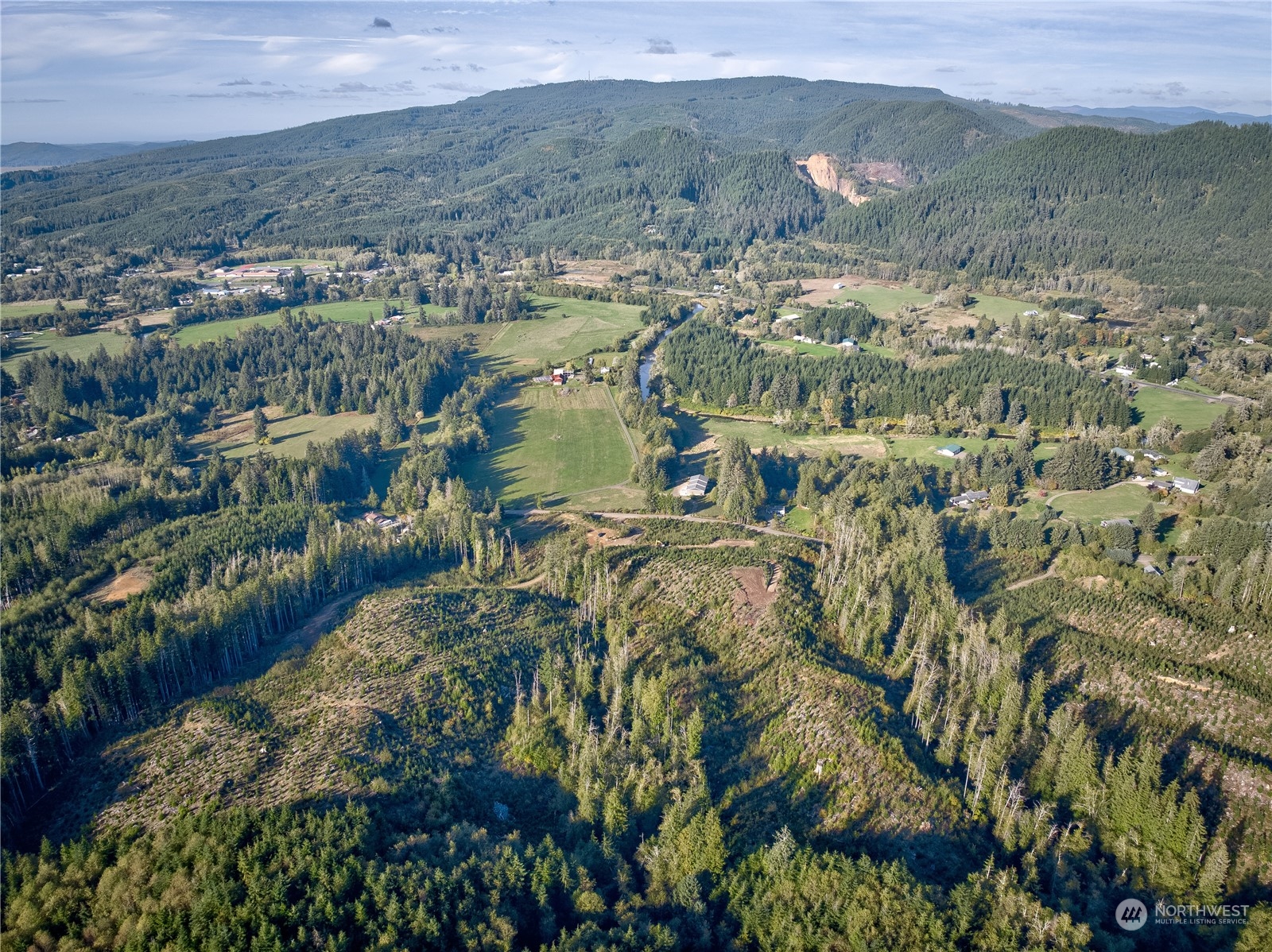 2 South B S Valley Road Naselle, WA 98638 - Photo 10 of 16 a view of lake and mountain