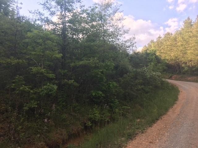24 Howard Beavert Road Pikeville, TN 37367 - Photo 4 of 6 Gallery Image 4