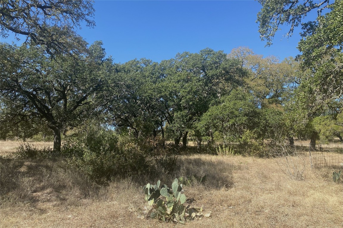 0 Spoke Hollow Road Wimberley, TX 78676 - Photo 3 of 12 a view of a yard with a tree