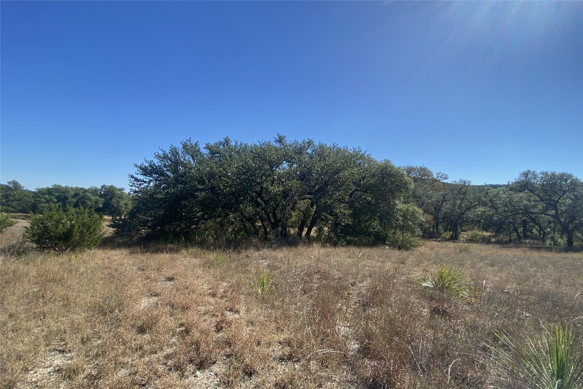 0 Spoke Hollow Road Wimberley, TX 78676 - Photo 6 of 12 a view of a dry yard with a barn