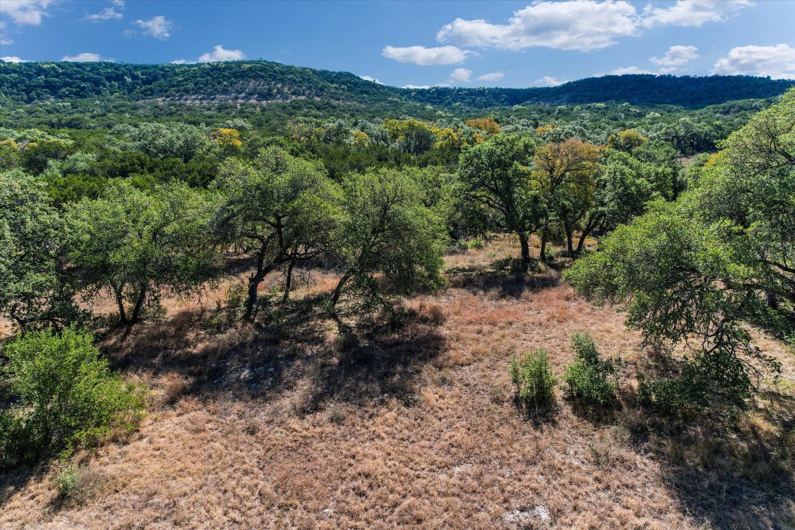 0 Spoke Hollow Road Wimberley, TX 78676 - Photo 7 of 12 a view of a forest with a yard