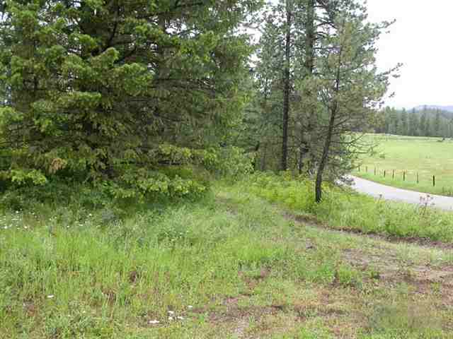 Xx North Xx N Bridges & Jackson Road Elk, WA 99009 - Photo 1 of 9 Gallery Image 1