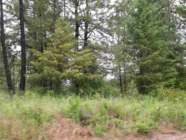Xx North Xx N Bridges & Jackson Road Elk, WA 99009 - Photo 2 of 9 Gallery Image 2
