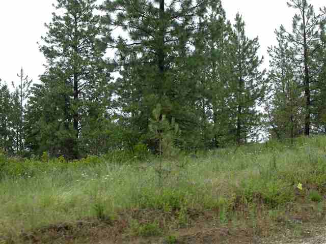 Xx North Xx N Bridges & Jackson Road Elk, WA 99009 - Photo 3 of 9 Gallery Image 3