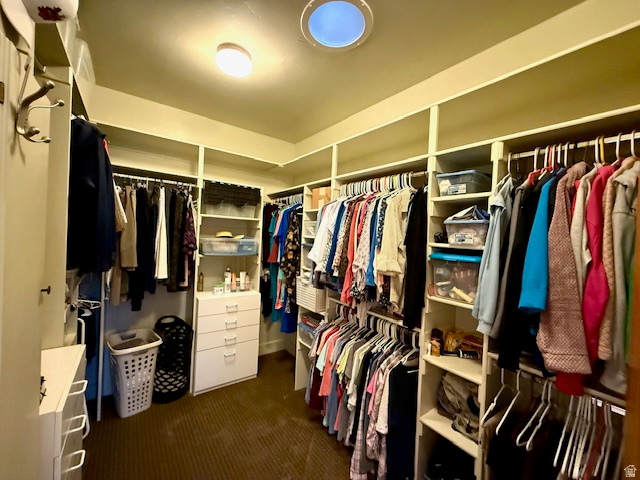 596 East 4190th Street North, Unit 5 Provo, UT 84604 - Photo 20 of 38 Walk-in closet with skylight
