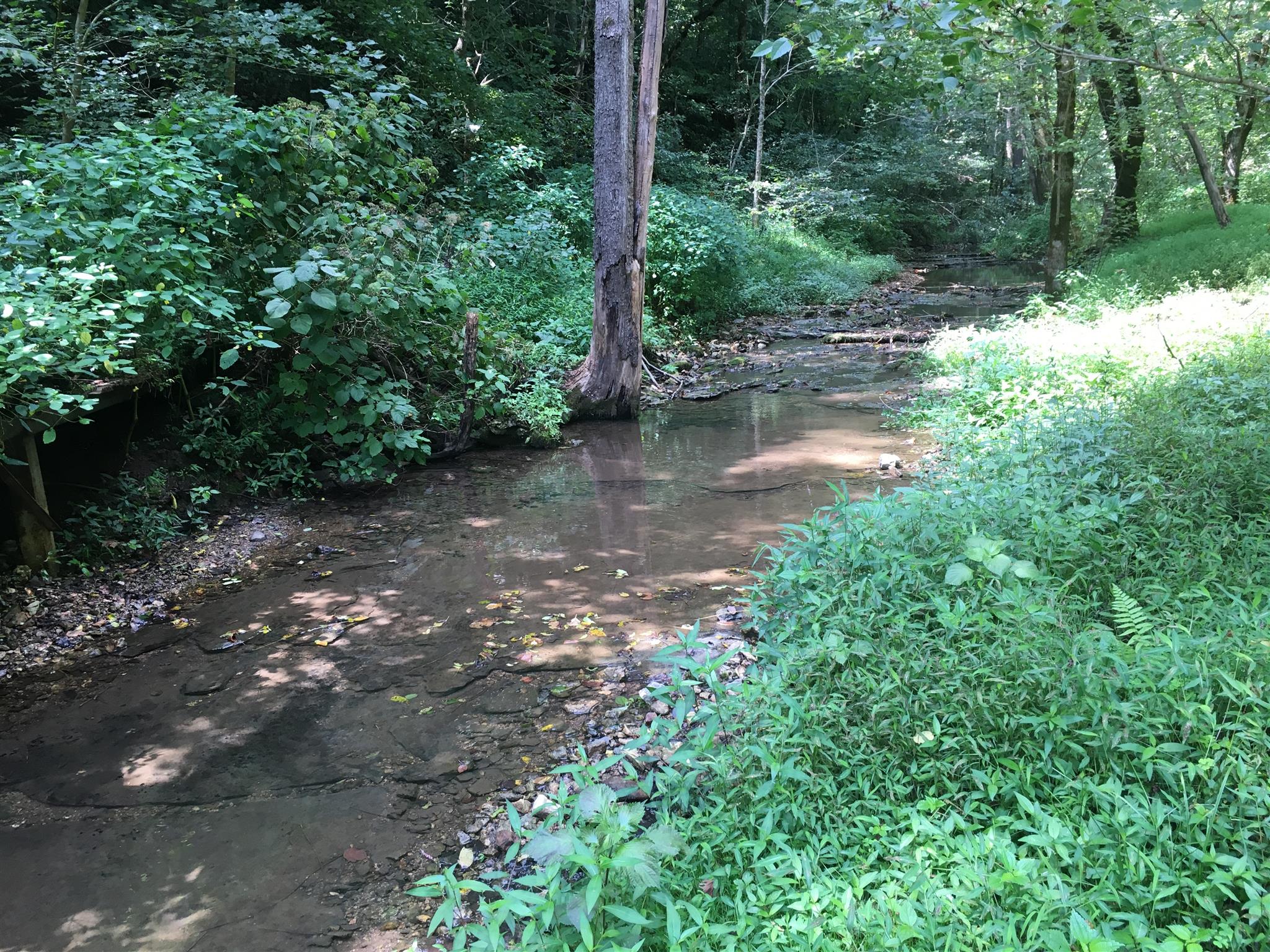 0 North Of Highway Red Boiling Springs, TN 37150 - Photo 16 of 23 a view of outdoor space with deck and yard