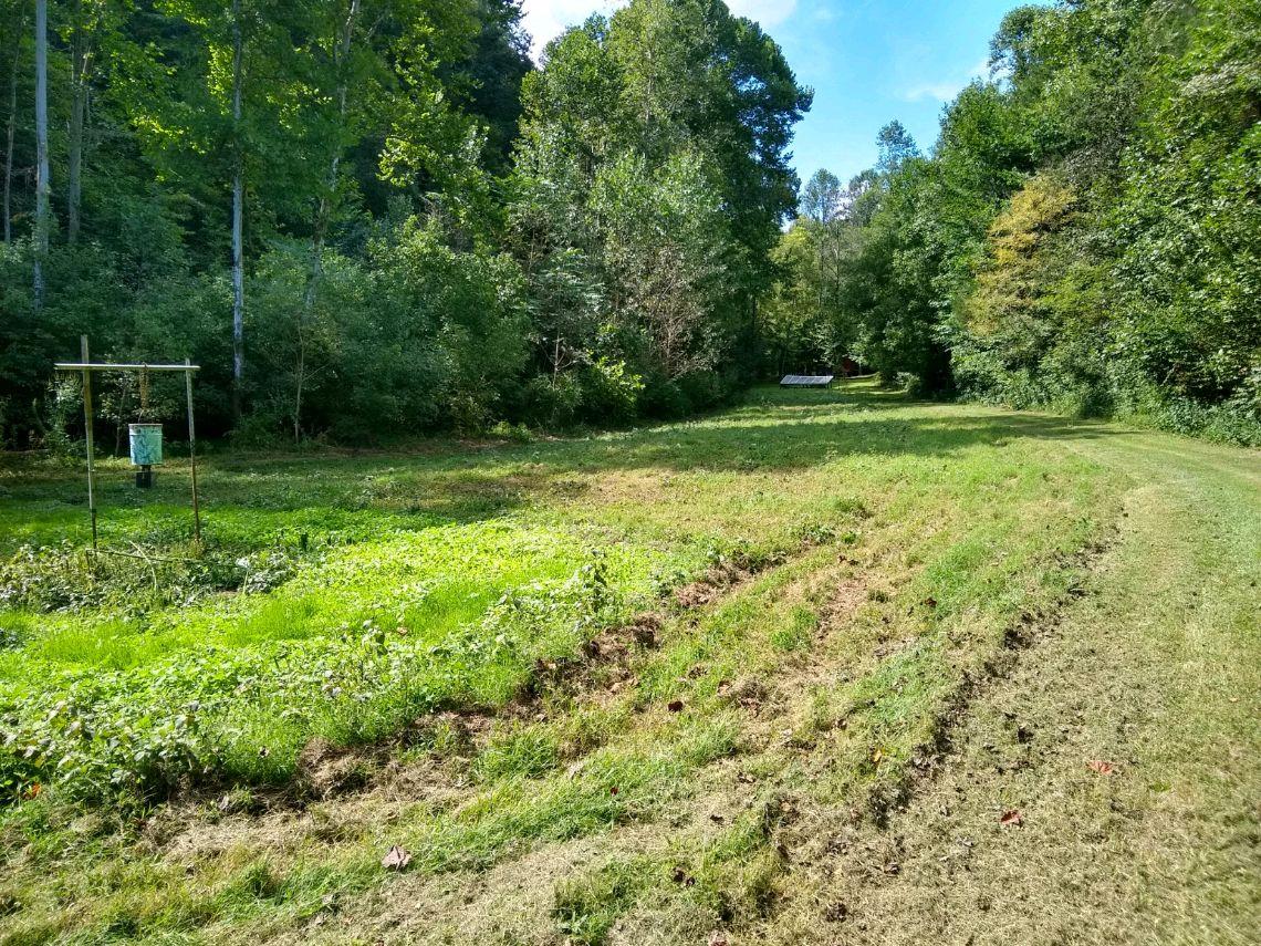 0 North Of Highway Red Boiling Springs, TN 37150 - Photo 20 of 23 a view of a garden with trees