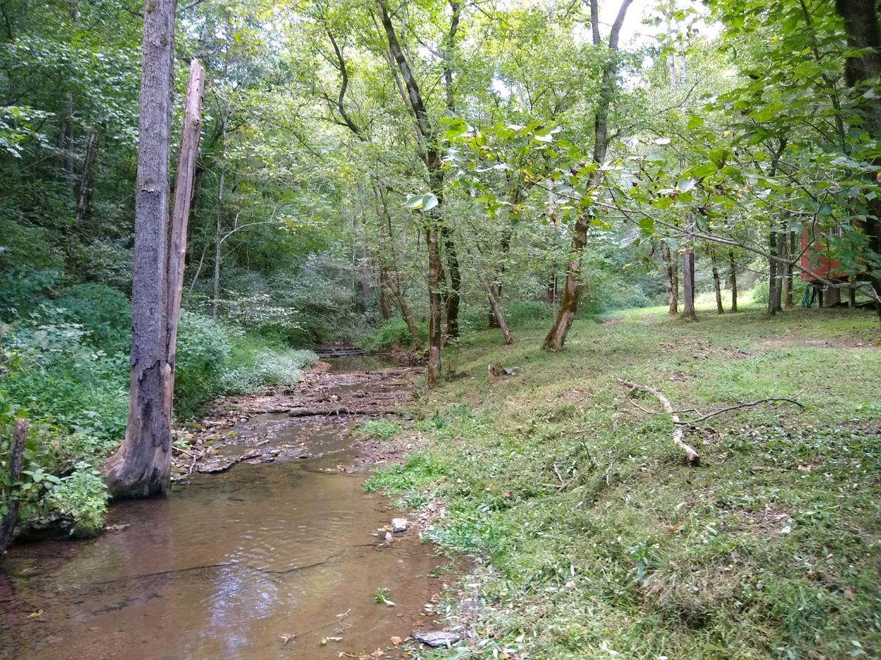 0 North Of Highway Red Boiling Springs, TN 37150 - Photo 3 of 23 a view of a forest with trees in the background
