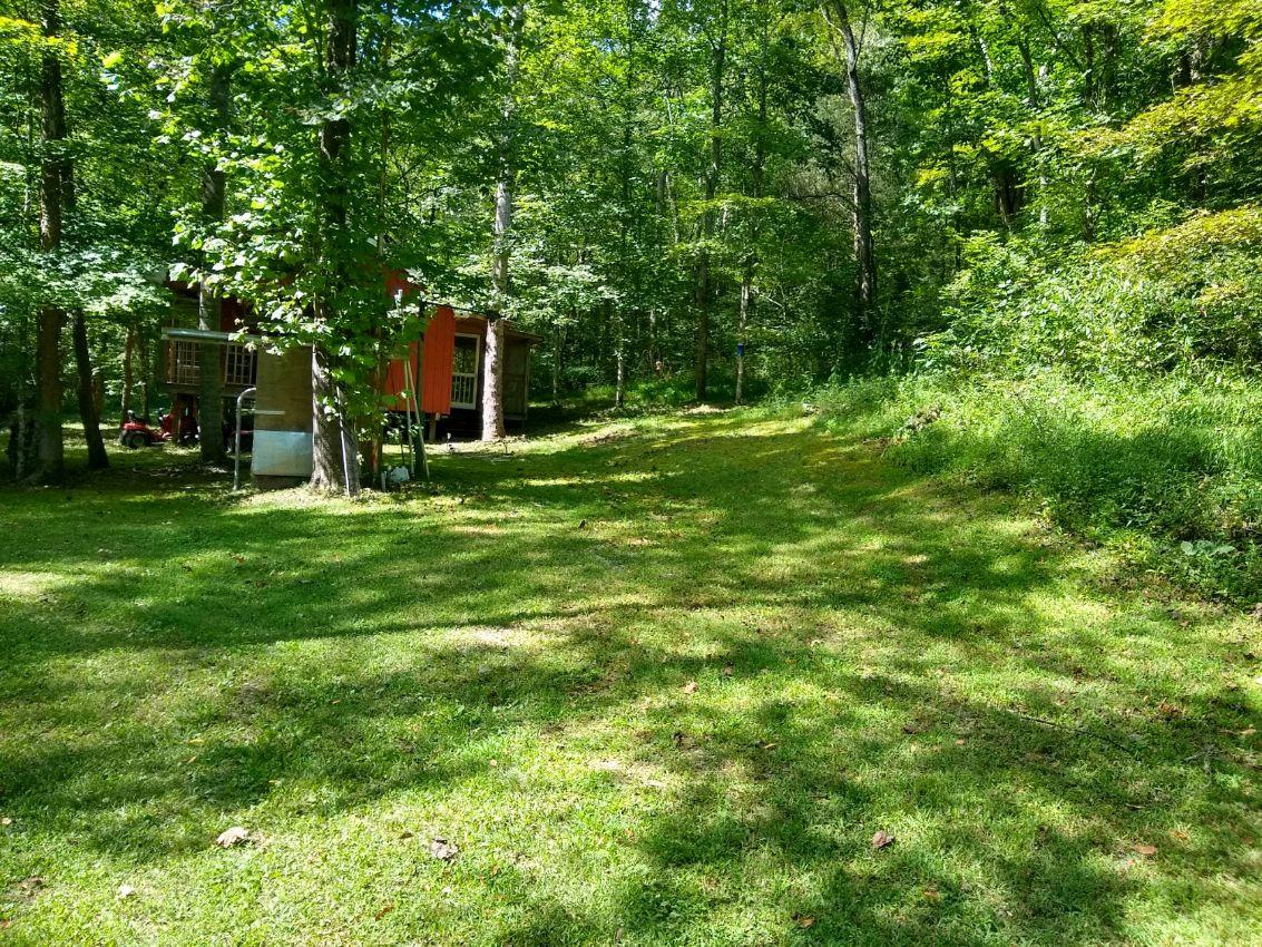 0 North Of Highway Red Boiling Springs, TN 37150 - Photo 4 of 23 a backyard of a house with plants and large trees