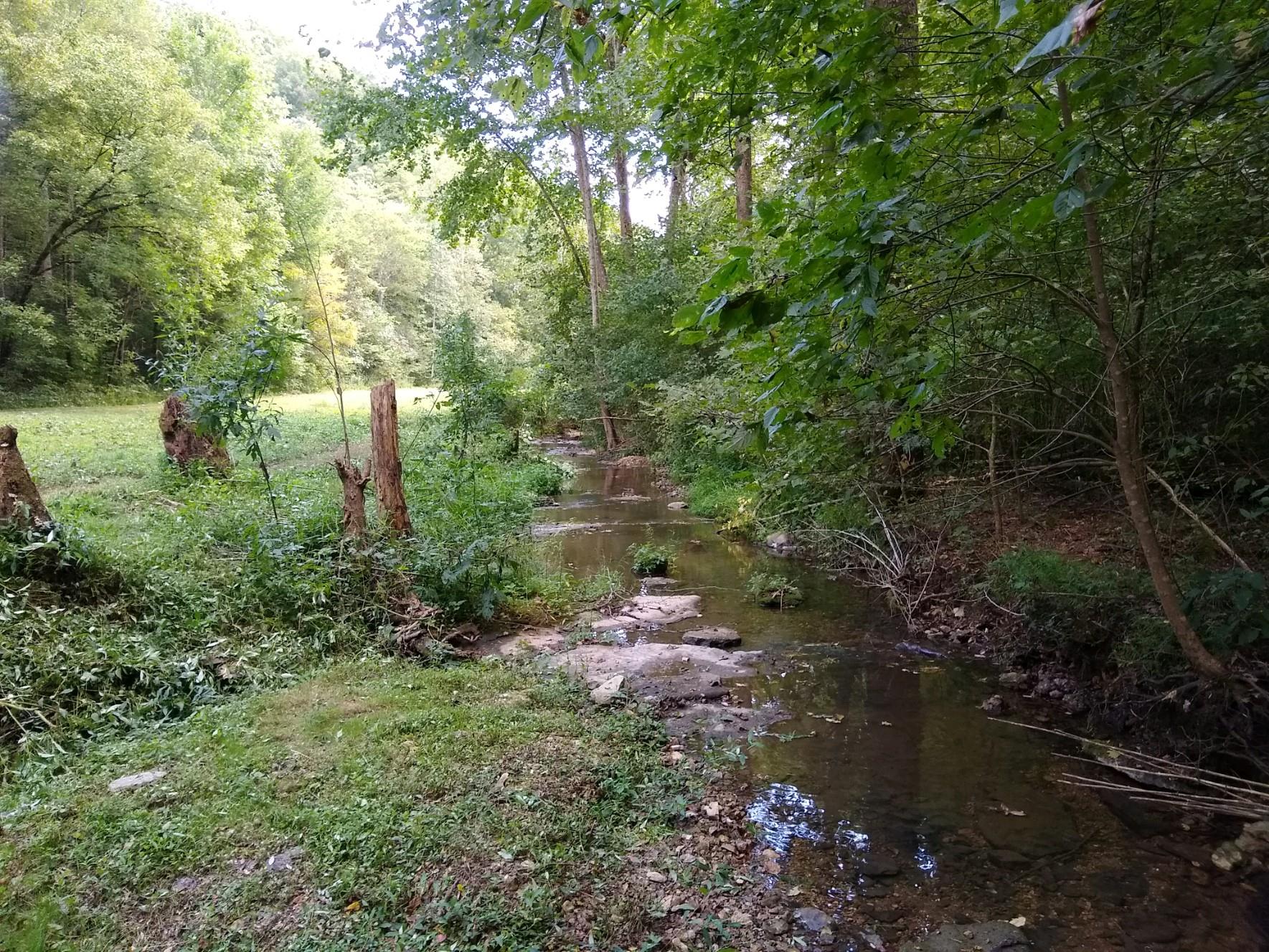 0 North Of Highway Red Boiling Springs, TN 37150 - Photo 5 of 23 a view of outdoor space and a yard