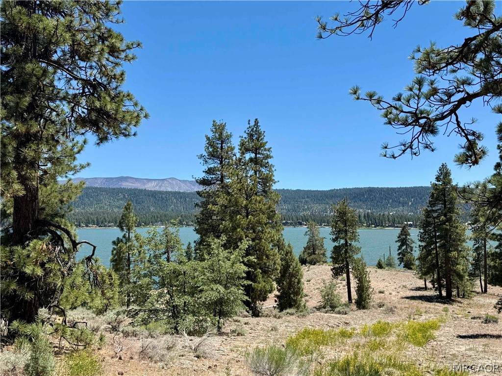 39737 Flicker Road Fawnskin, CA 92333 - Photo 3 of 51