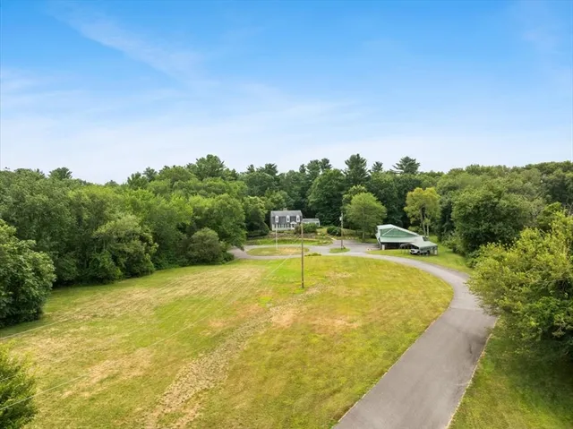 a view of a swimming pool and trees in the background