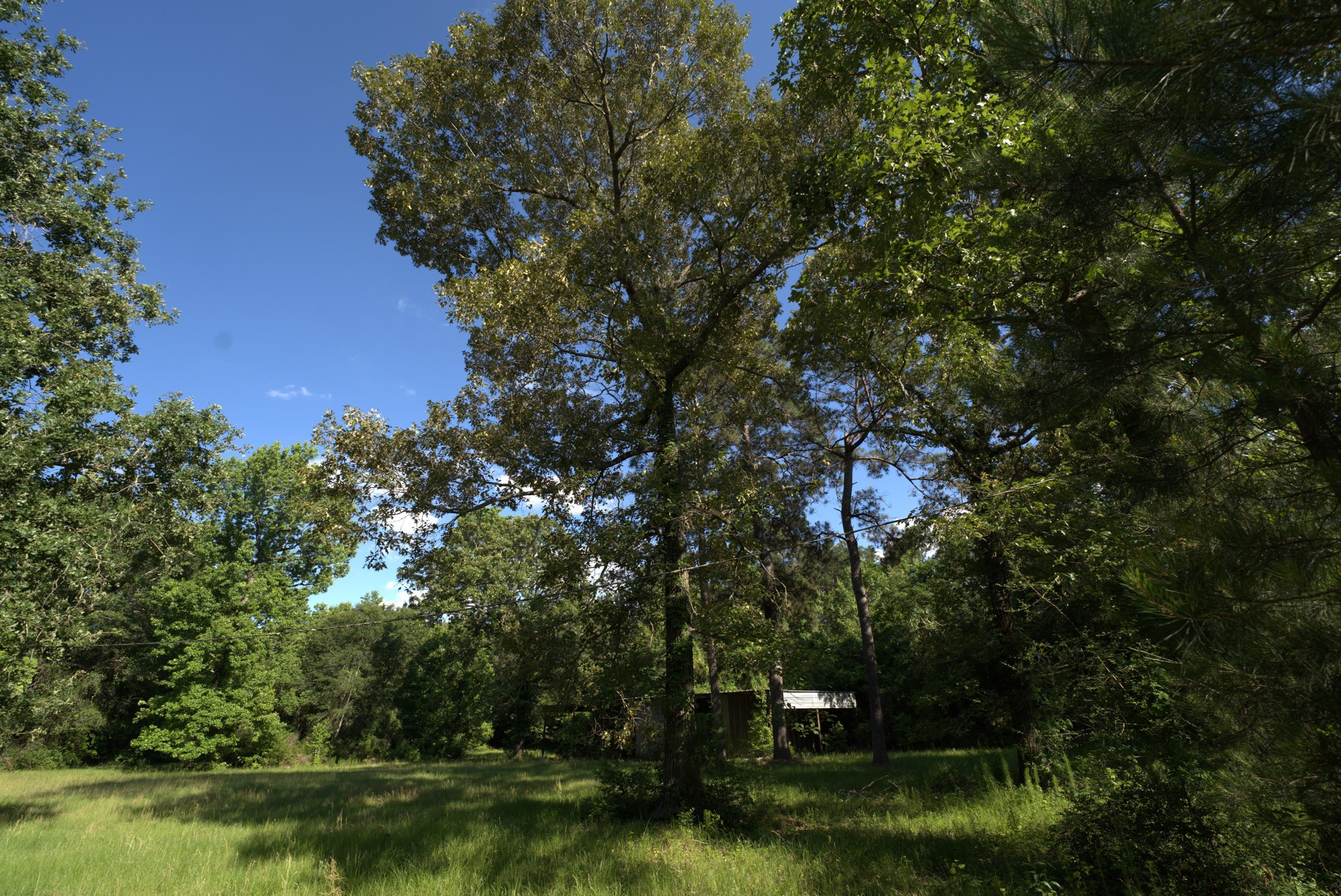 3309 Honea Egypt Road Montgomery, TX 77316 - Photo 39 of 40