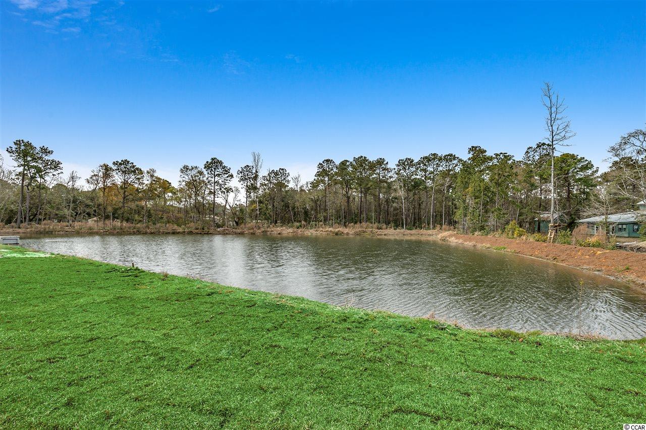 905 Wachesaw Road Murrells Inlet, SC 29576 - Photo 12 of 14 Gallery Image 12