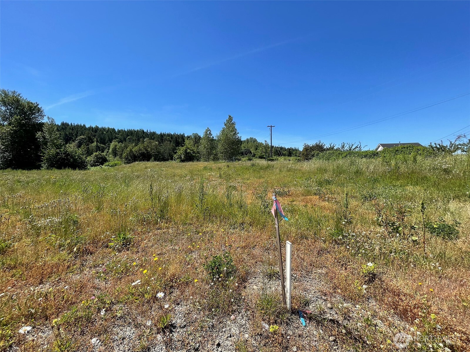 842 South Still Road Sequim, WA 98382 - Photo 5 of 13 a view of a field with an ocean
