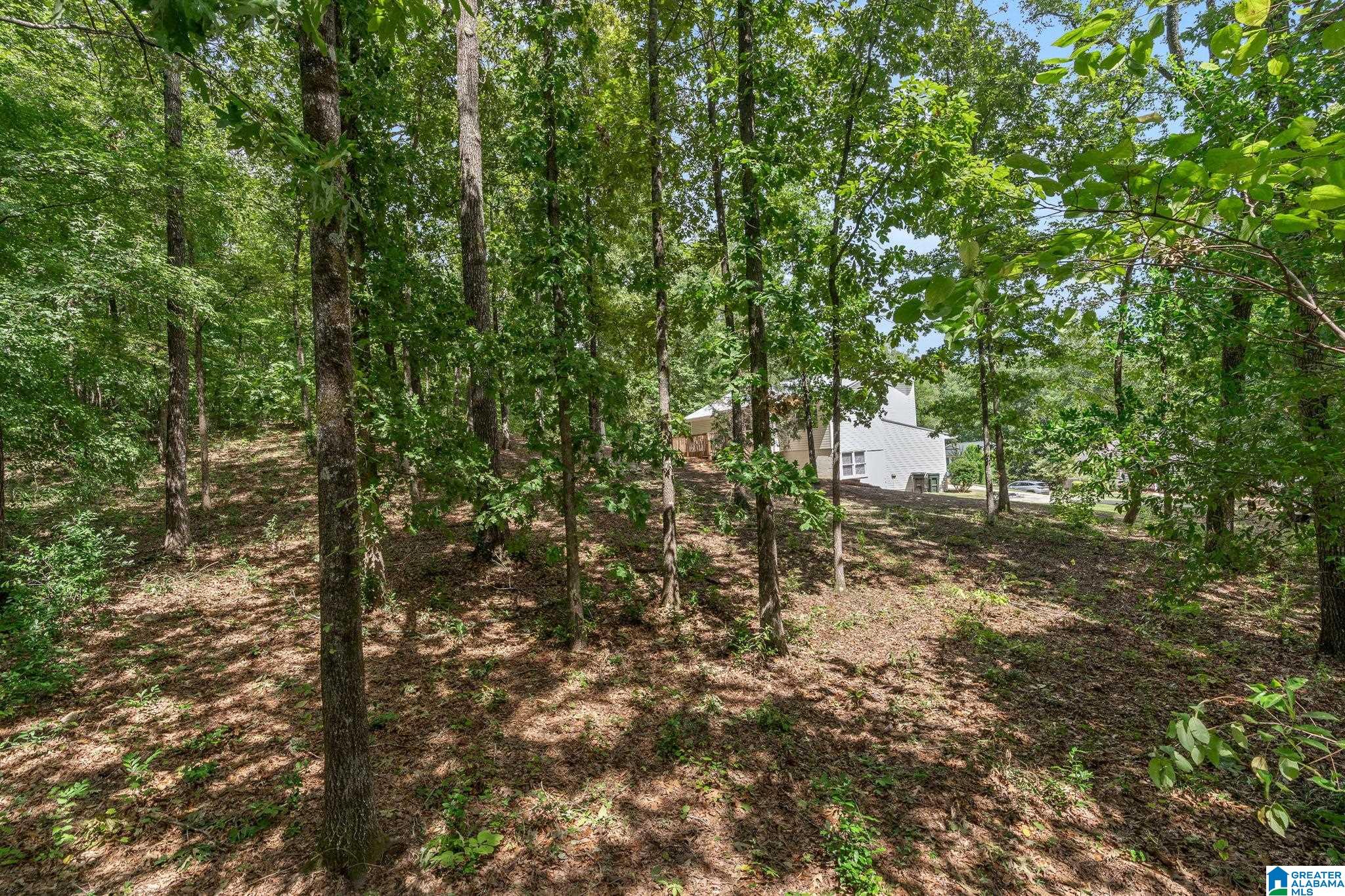 2508 Hamilton Circle Pelham, AL 35124 - Photo 32 of 32