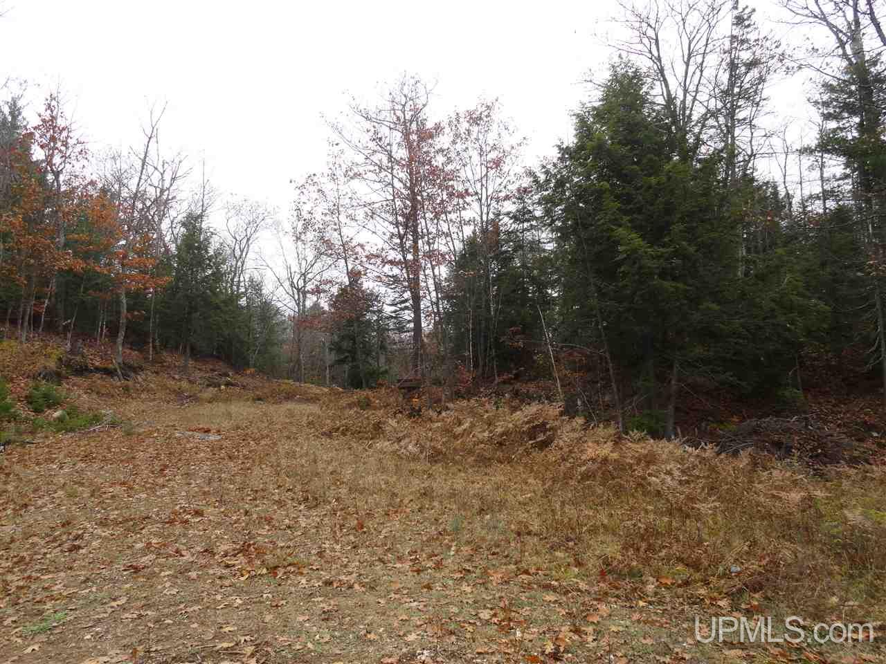 510 Rd Marquette Mi 49855 Road Negaunee, MI 49866 - Photo 14 of 26