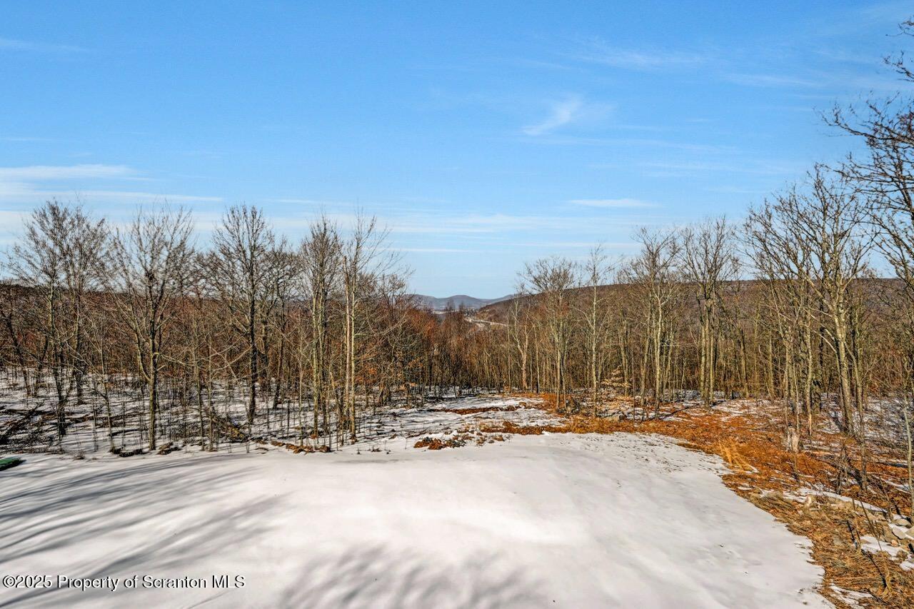 407 Summit Woods Road, Unit L44 Moscow, PA 18444 - Photo 8 of 131 407 Summit Woods Rd 04 Large