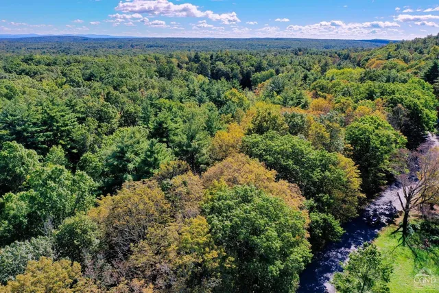 a view of a yard with a street