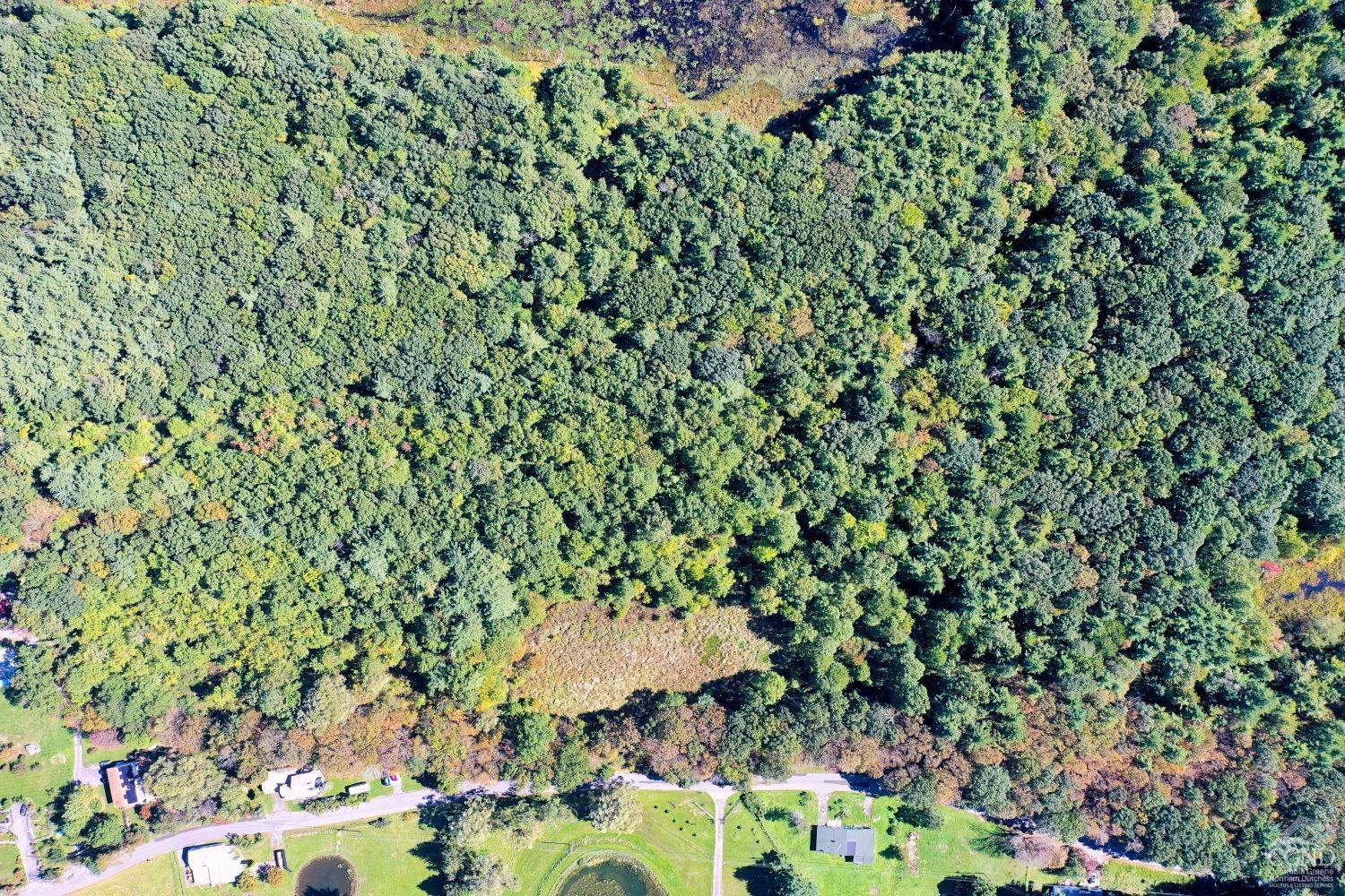 204 Joel M Austin Road Cairo, NY 12413 - Photo 12 of 40