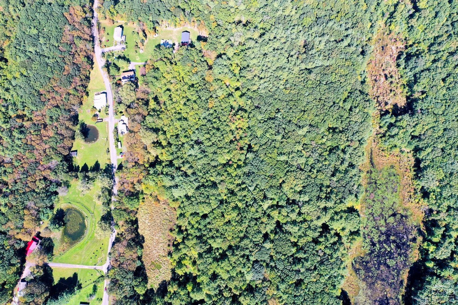 204 Joel M Austin Road Cairo, NY 12413 - Photo 13 of 40 unknown