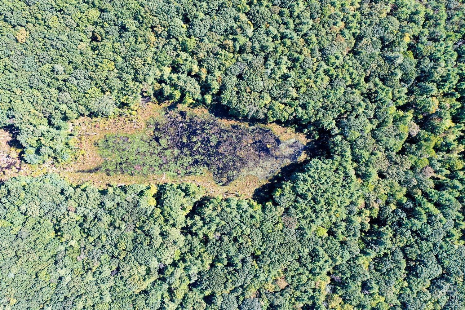 204 Joel M Austin Road Cairo, NY 12413 - Photo 16 of 40