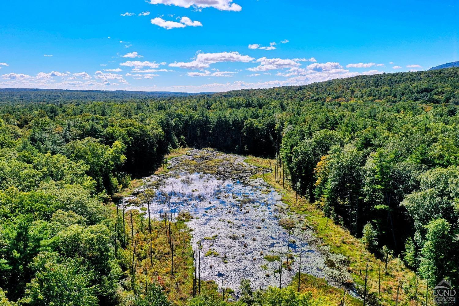 204 Joel M Austin Road Cairo, NY 12413 - Photo 18 of 40 a view of a pathway with a garden