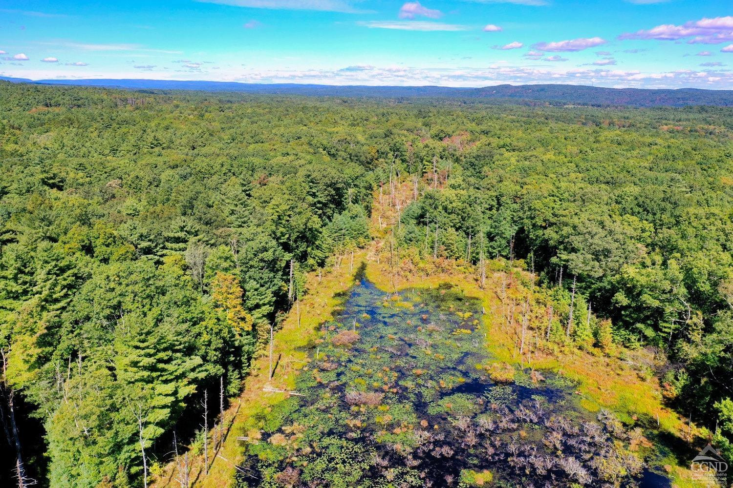 204 Joel M Austin Road Cairo, NY 12413 - Photo 19 of 40 a view of a yard with an outdoor space