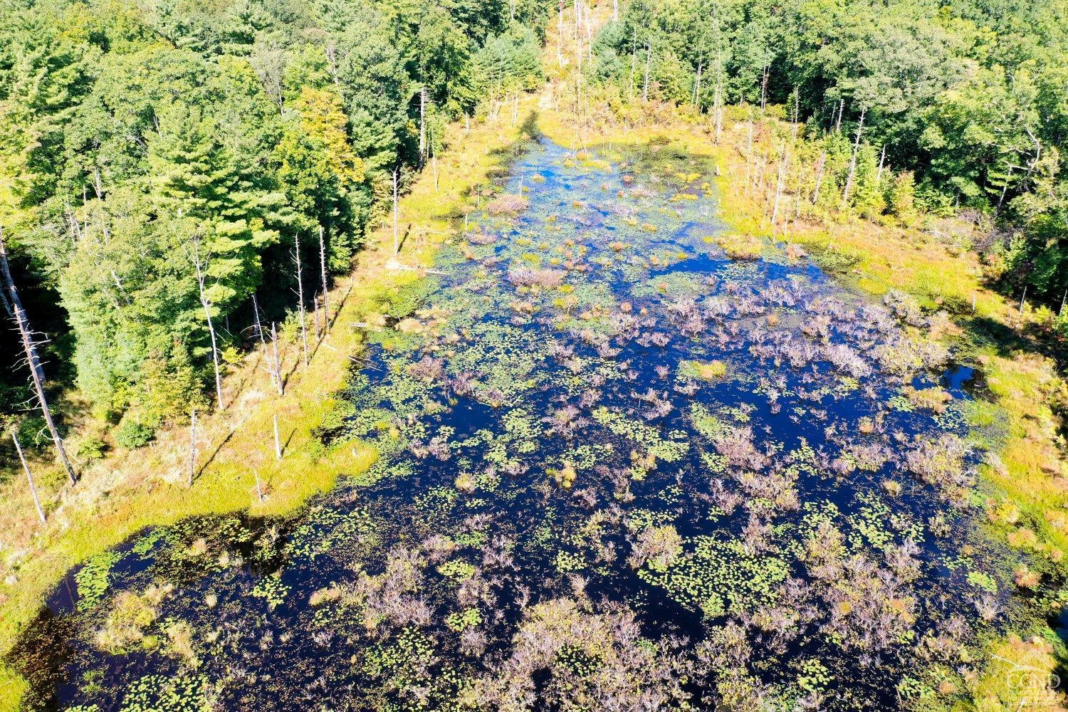 204 Joel M Austin Road Cairo, NY 12413 - Photo 20 of 40