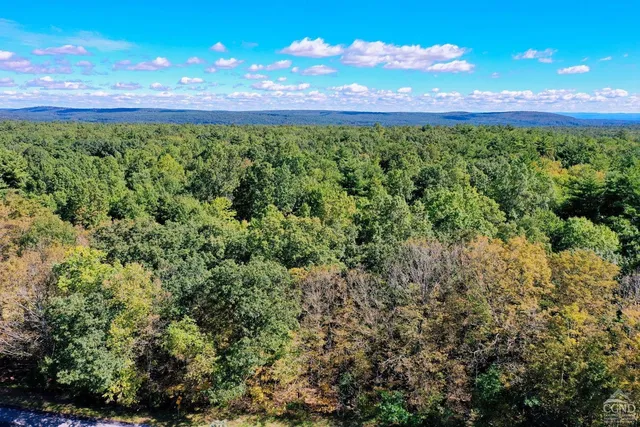 a view of a yard with an outdoor space