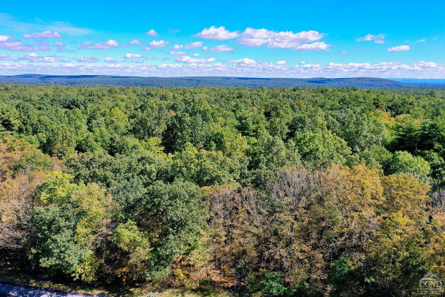 204 Joel M Austin Road Cairo, NY 12413 - Photo 2 of 40 a view of a yard with an outdoor space