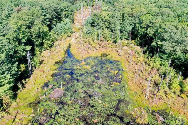 a view of a yard with a tree