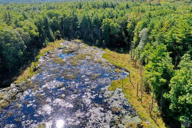 a view of a green yard
