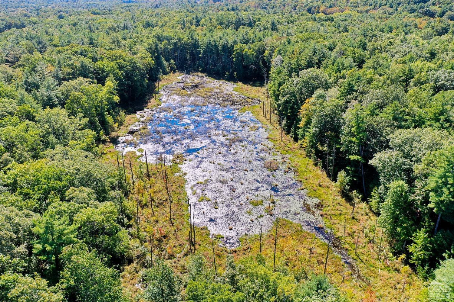 204 Joel M Austin Road Cairo, NY 12413 - Photo 23 of 40 a view of a yard with plants