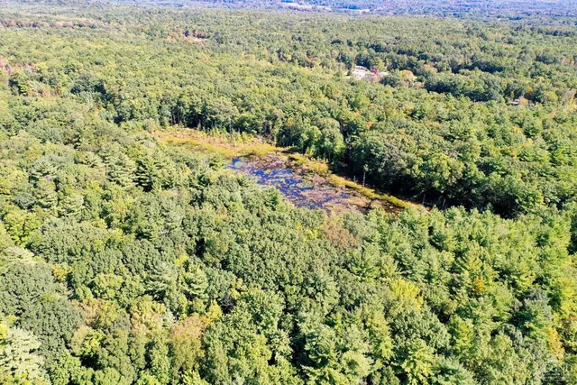 a plant that is in a garden