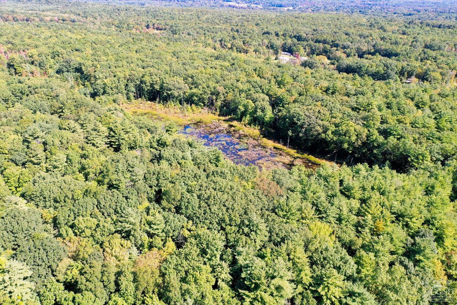 204 Joel M Austin Road Cairo, NY 12413 - Photo 24 of 40 a view of a yard with a tree
