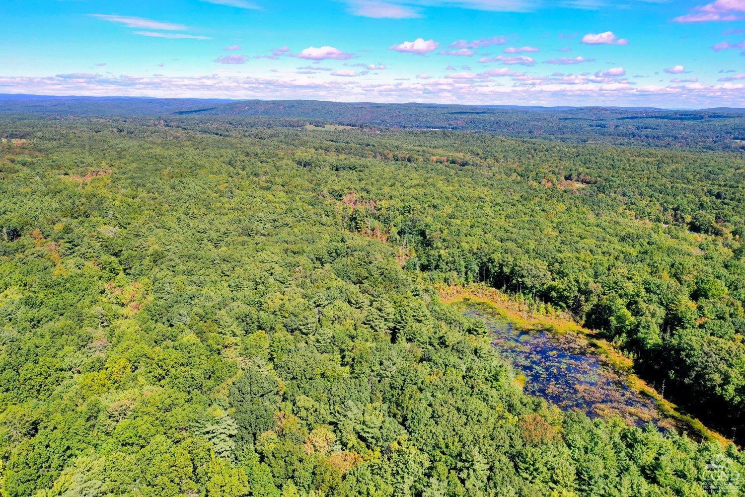 204 Joel M Austin Road Cairo, NY 12413 - Photo 25 of 40 a view of a green yard