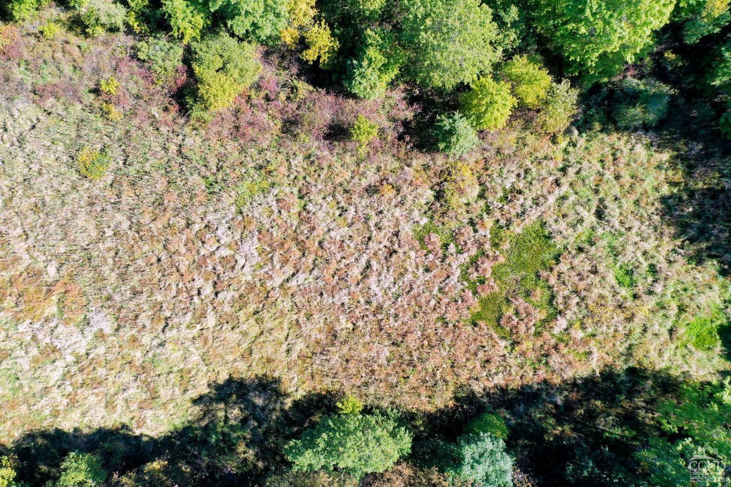 204 Joel M Austin Road Cairo, NY 12413 - Photo 28 of 40