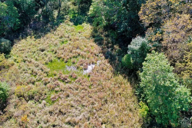 a view of a green and green yard