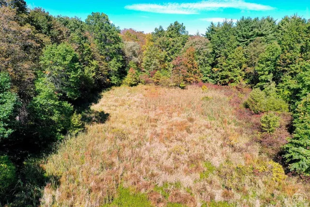 a view of a garden with flowers