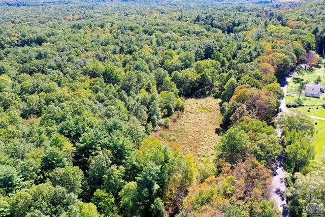 a view of a green yard