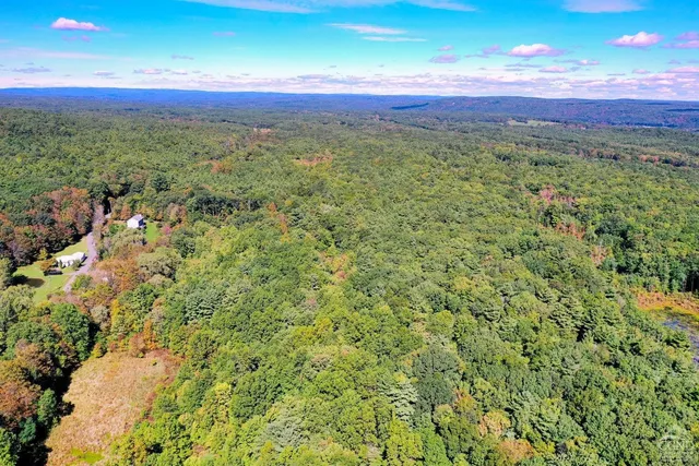 a view of a big yard with lots of green space